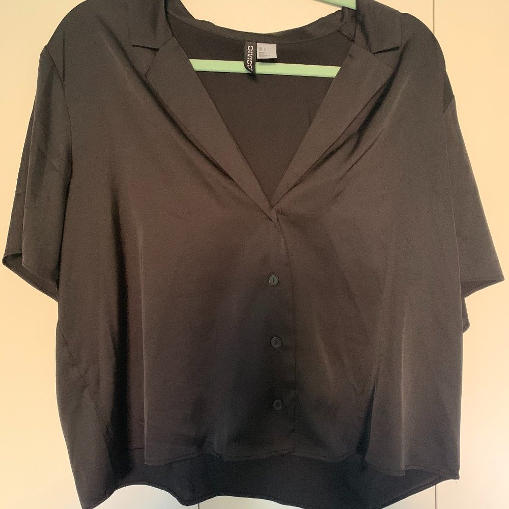 Silk H&M Crop Blouse